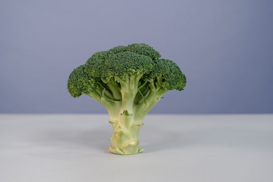 Green Broccoli on White Surface